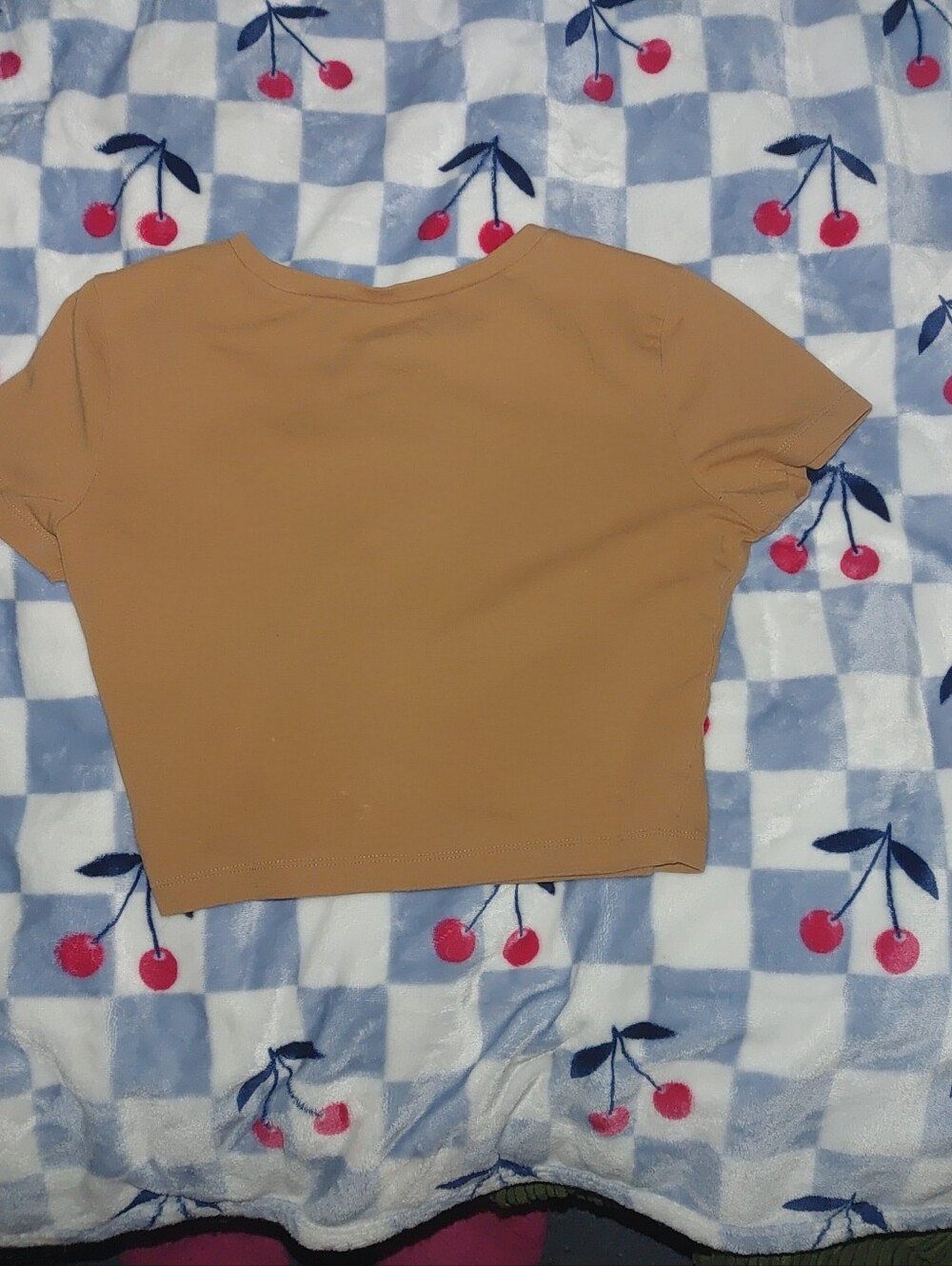 Short Sleeve Cropped Tee - Women Tops - Picture 3 of 10